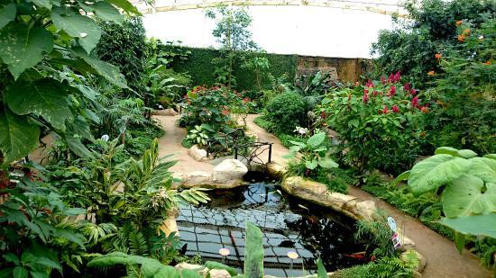 Parco delle Farfalle di Benalmádena